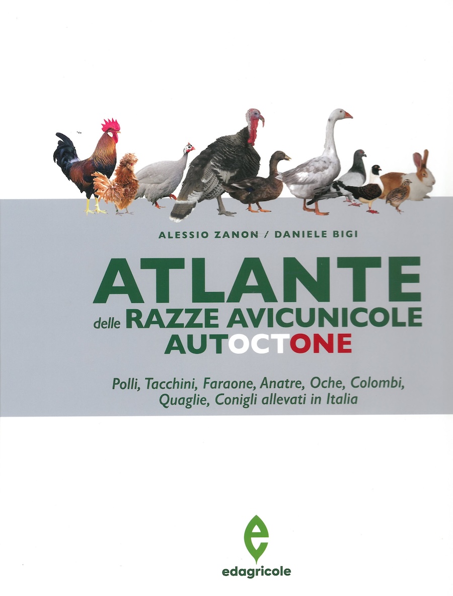 Atlante delle razze avicunicole autoctone - Polli, Tacchini, Faraone, Anatre, Oche, Colombi, Quaglie, Conigli allevati in Italia