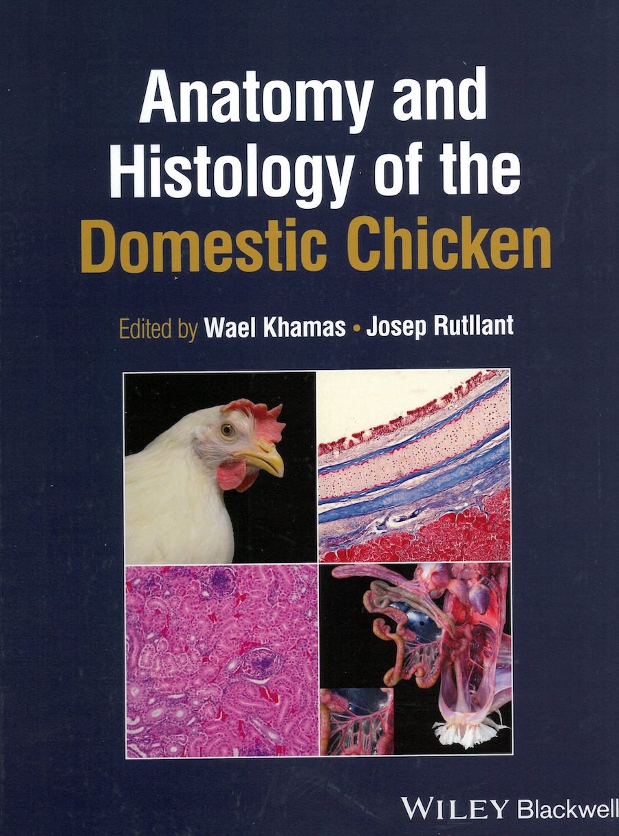 Anatomy and histology of the domestic chicken