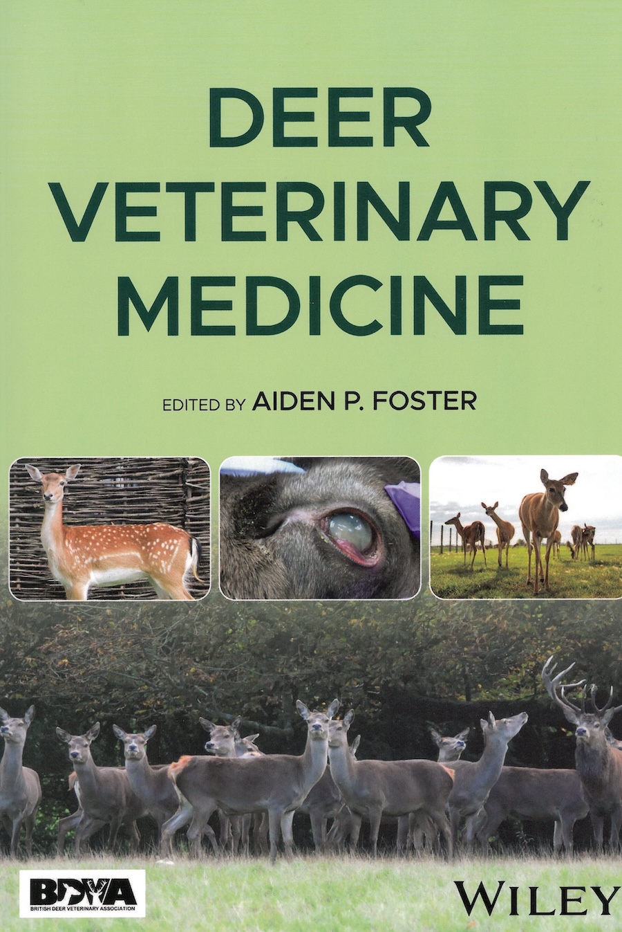 Deer Veterinary Medicine