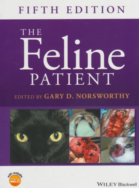 The feline patient