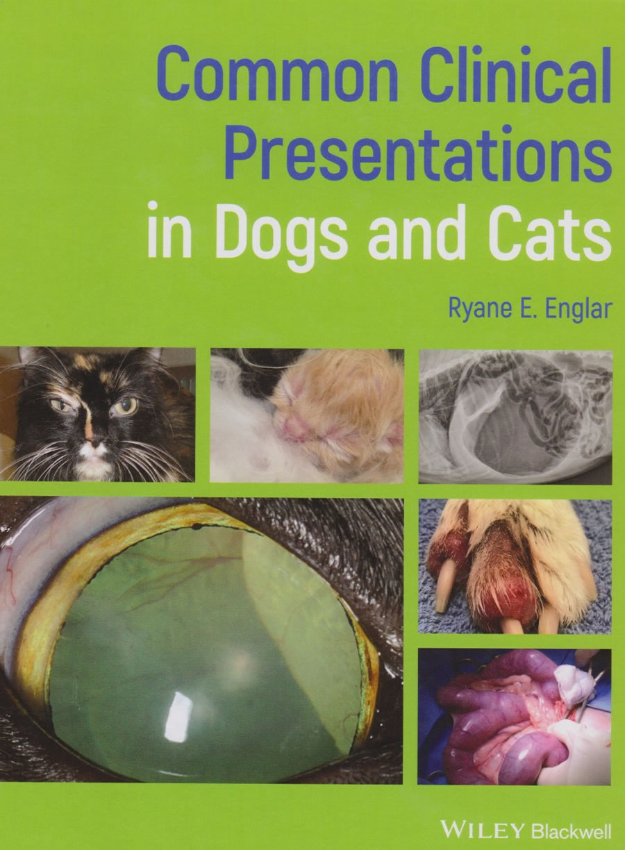 Common clinical presentations in dogs and cats