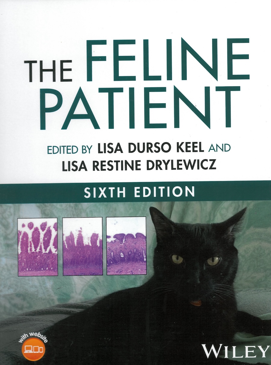 The feline patient