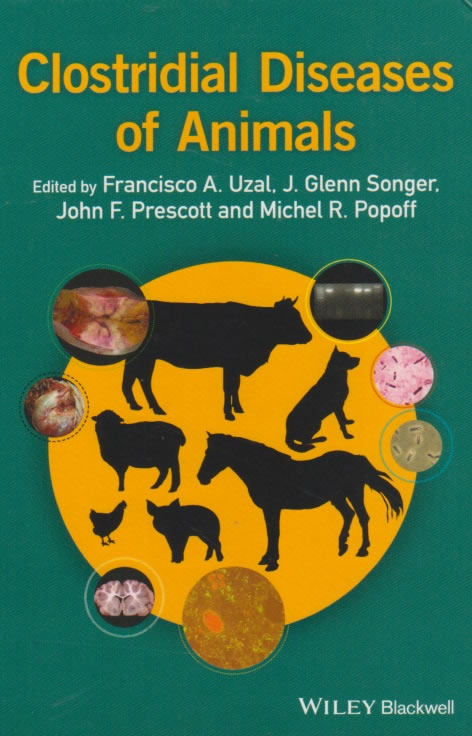 Clostridial diseases of animals