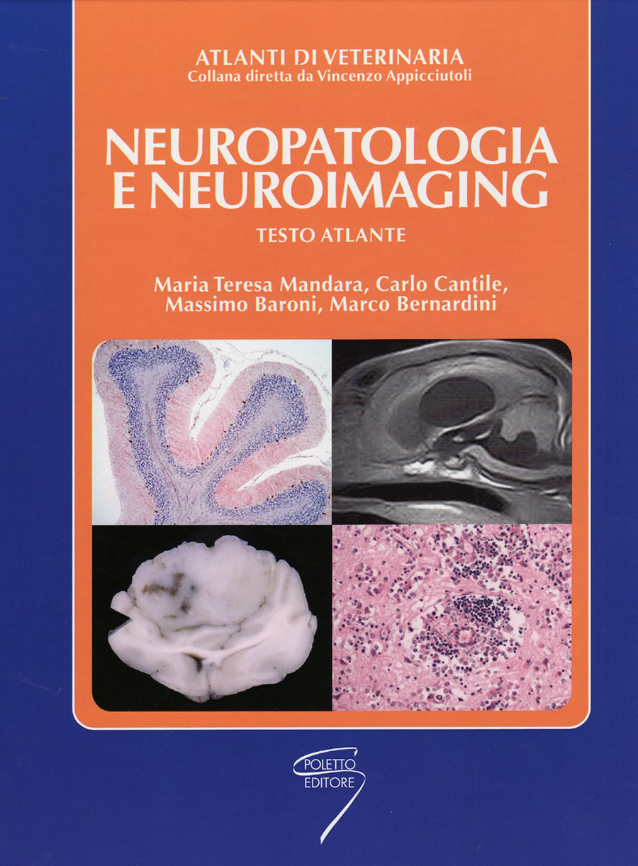Neuropatologia e neuroimaging