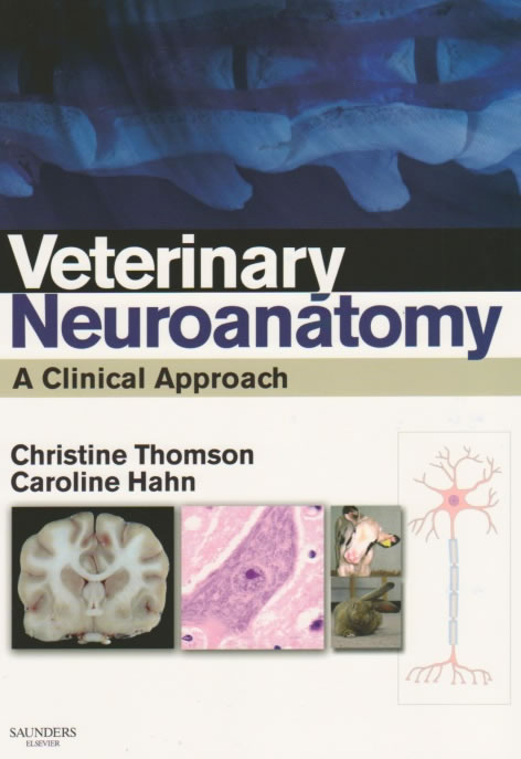 Veterinary neuroanatomy. A clinical approach