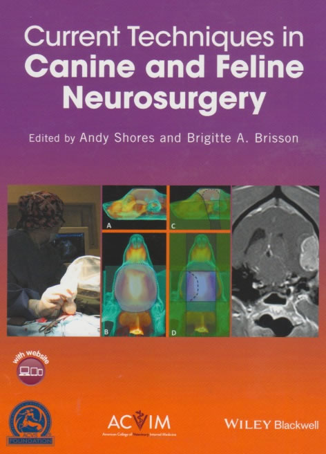 Current techniques in canine and feline neurosurgery