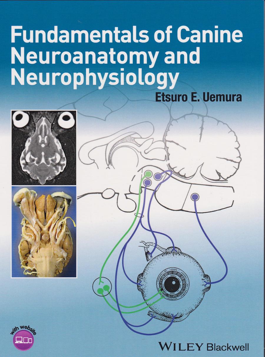 Fundamentals of canine neuroanatomy and neurophysiology