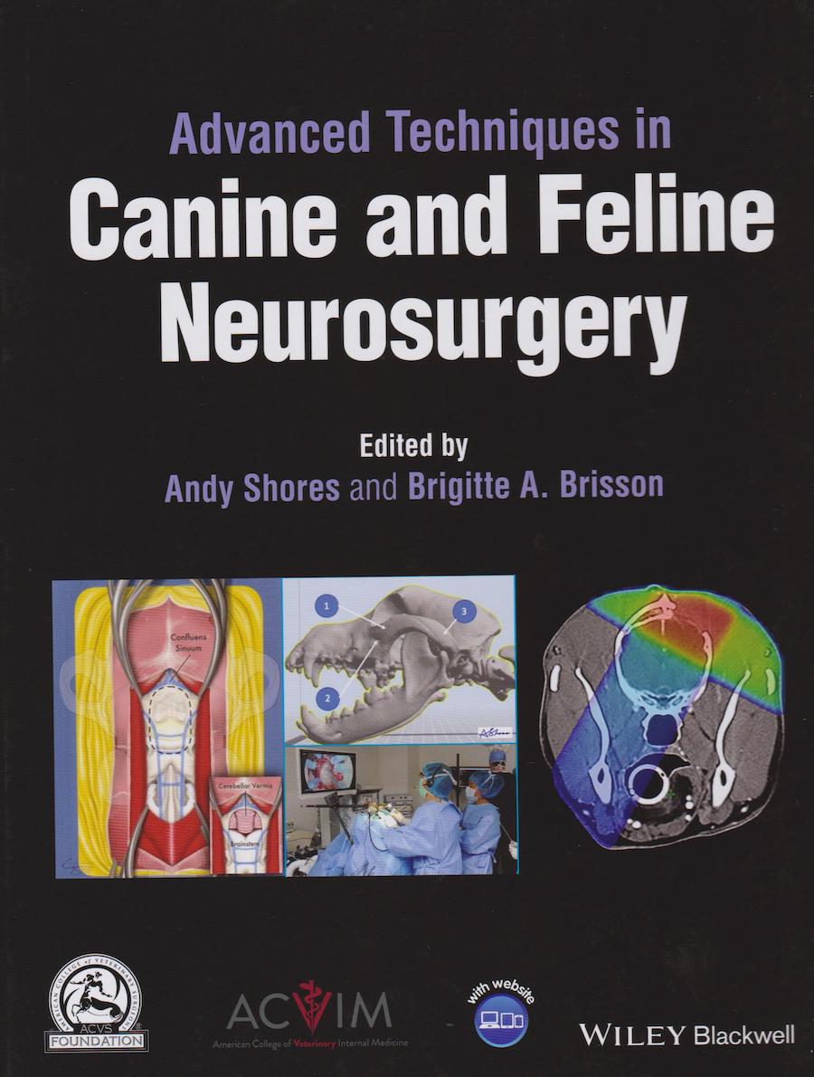 Advanced techniques in canine and feline neurosurgery