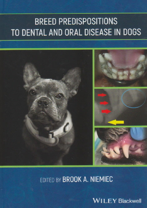 Breed predispositions to dental and oral disease in dogs
