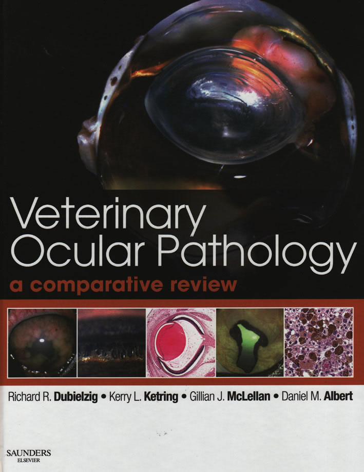 Veterinary ocular pathology. A comparative review