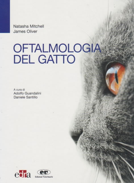 Oftalmologia del gatto