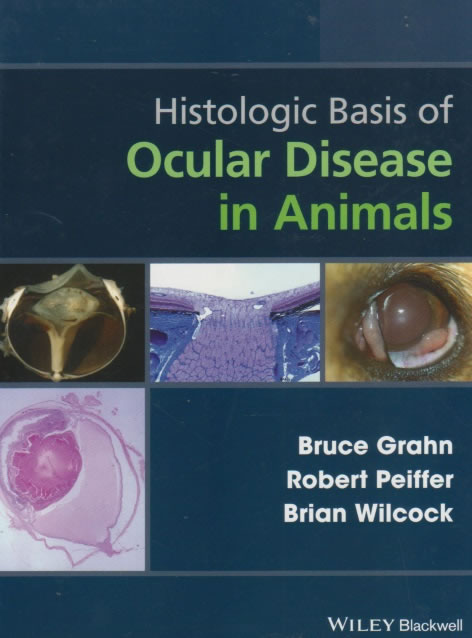 Histologic basis of ocular disease in animals
