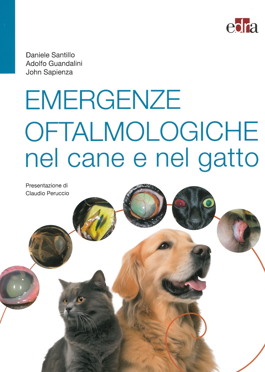 Emergenze oftalmologiche nel cane e nel gatto