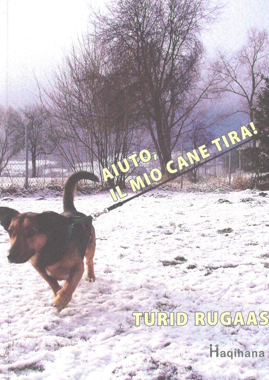 AIUTO, IL MIO CANE TIRA!